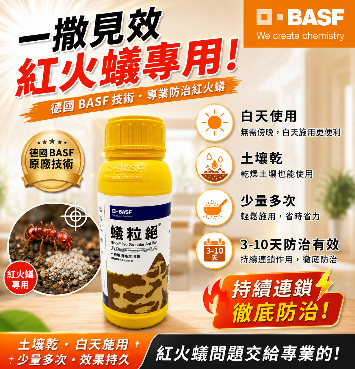 蟻粒絕